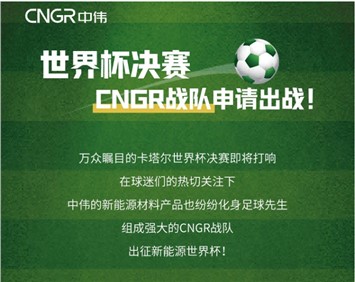 世界杯決賽 | CNGR戰(zhàn)隊申請出戰(zhàn)！